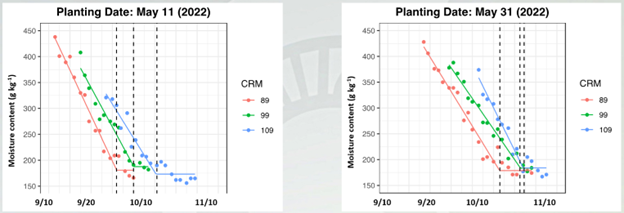 Corn drydown graphics from Benjamin 9-14.png